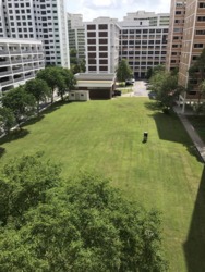 Blk 870 Tampines Street 83 (Tampines), HDB 4 Rooms #176634242